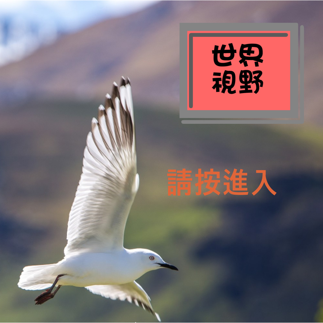 newproject_1_original (10)