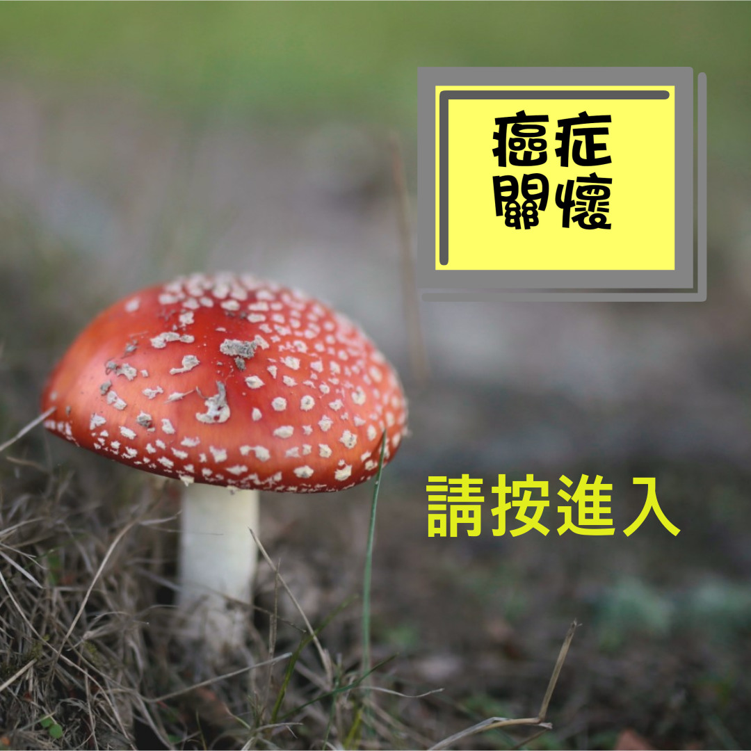 newproject_1_original (15)