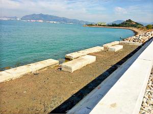 東涌生態海岸線